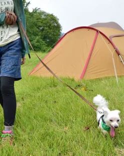 Snow Peak Adjustable Lead Set^ Pets