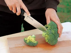 Snow Peak Field Kitchen Knife Santoku^ Takibi For Cooking